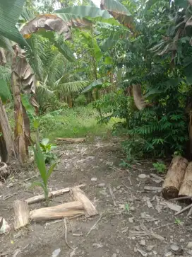 Tanah di Jual lokasi strategis