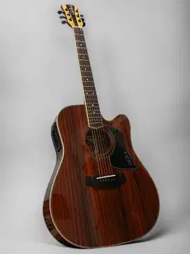 Gitar akustik elektrik cole clark Rosewood
