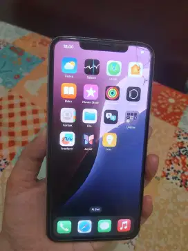 Iphone 11 pro max 256 gb