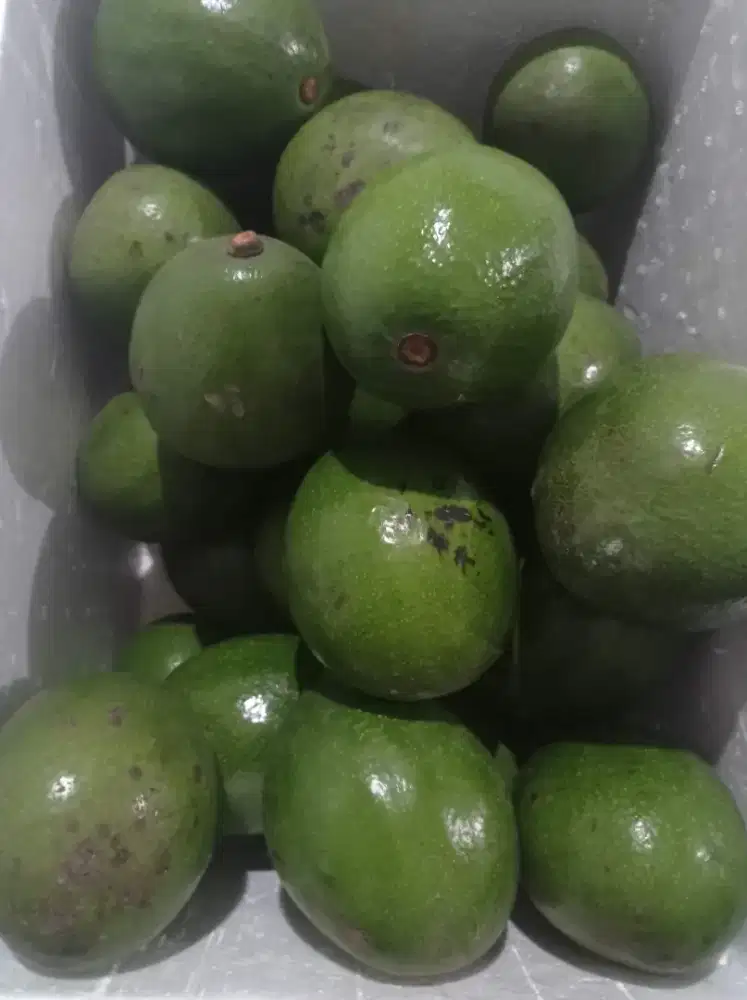 Di cari untuk kupas buah2an