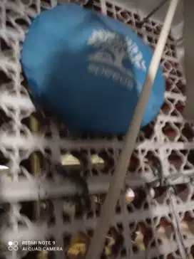 Tenda untuk camp