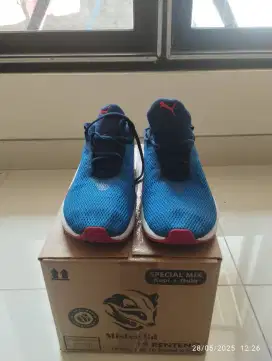 Sepatu Running Pma 44