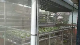 Dijual Greenhouse Lengkap Dengan Instalasi & Media Tanamnya