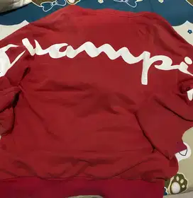 Hoodie Champion size M backprint