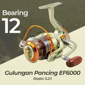 Reel Pancing Spinning 12 Ball Bearing