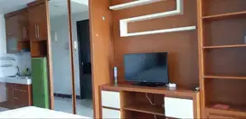 Sewa Apartemen Scientia Garden