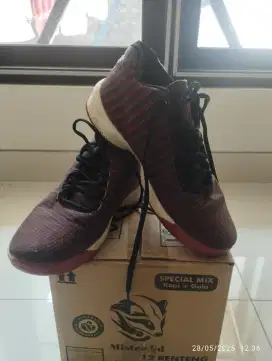 Sepatu Basket Jordn 42