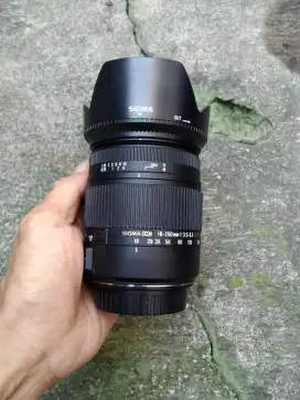 Sigma 18 250 OS Hsm for canon