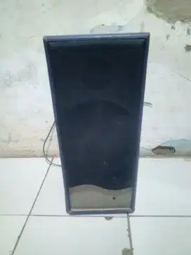 Speaker pasif 6 in