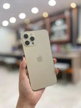 IPHONE 12 PROMAX 256GB GOLD BEACUKAI