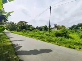 Tanah munggur mojogedang