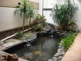 Jual kolam natural batu beronjol
