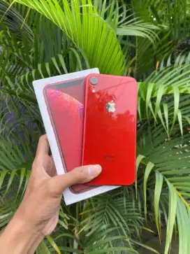 iPhone XR 64gb Beacukai