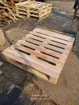 Pallet Kayu Baru