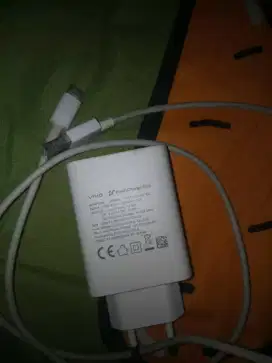 Casan vivo ori type C 44watt