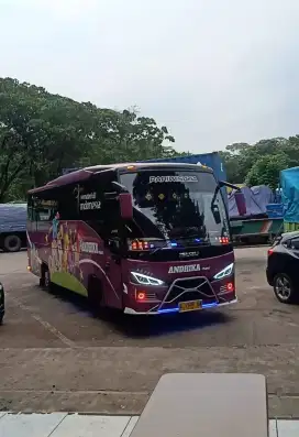 Di jual Bus medium Isuzu nqr71 THN 2019