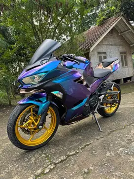 Ninja 250 tahun 2018