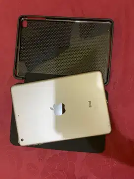Ipad mini 2 (16 gb WIFI)