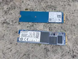 SSD M2.SATA  256GB & 512GB