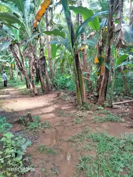 Tanah pekarangan dijual  murah dengan cepat tanpa perantara