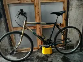 Jual sepeda federal street cat original