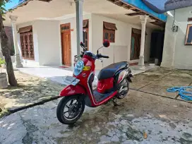 Jual honda scoopy