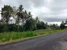 Dijual Tanah Milik Luas 34Are Di Pinggir Jalan Utama
