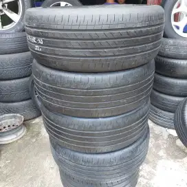 Ban 255 50 R21 Goodyear EfficientGrip Electric Driver