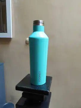 Tumbler Corkcicle Canteen