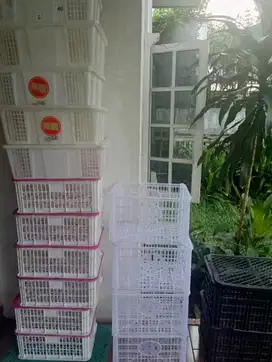 JUAL MURAH! Keranjang Plastik Bekas Buah