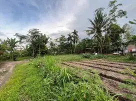 Dijual tanah dekat pajak rebo sei mencirim uk 21 x 17 luas 357m.