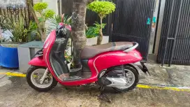 Scoopy 2022 Warna Favorit