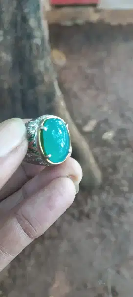 Bacan Doko Perak Semi Micro