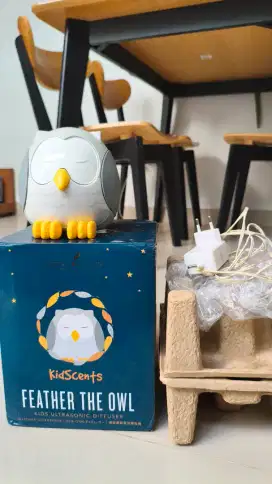 Diffuser Young Living Owl