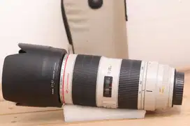 Canon EF 70-200mm F2.8 L IS II USM