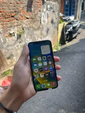 Iphone X 256Gb all op
