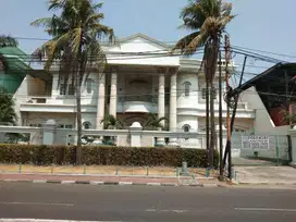 Rumah Mewah Jalan Raya Pluit Putra Siap Huni Luas 713m