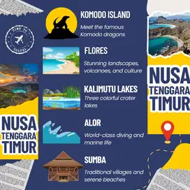 KENNEL BOY ASAL NTT