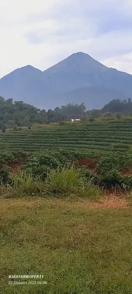 JUAL TANAH AREA WISATA PACET VIEW SUN RICE 2 GUNUNG PENANGGUNGAN