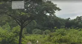 Kavling Industri Delta Silikon 3 3418 M2 Lippo Cikarang