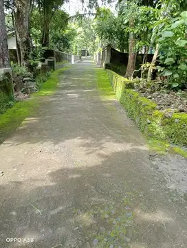 dijual tanah pekarangan 120m ld 7m  hrg  120jt di manisrenggo