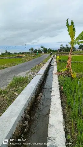 Dijual sawah zona kuning di sleman kalasan 4900m