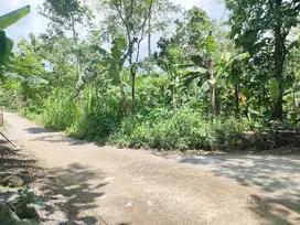 dijual tanah pekarangan 700m di Karangnongko
