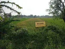Tanah Sawah Super Murah di Tamanan, Banguntapan, Bantul - Cocok Gudang