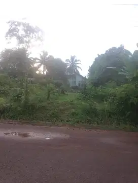 Tanah Pekarangan di 29 Komplek pabrik tomo
