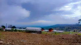 Jual Tanah Kavling KEBUN ANGGUR di Bogor