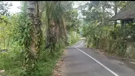 Sewa Tanah 100 Are ( 1 Hektare )  Area Wisata Petang - Badung