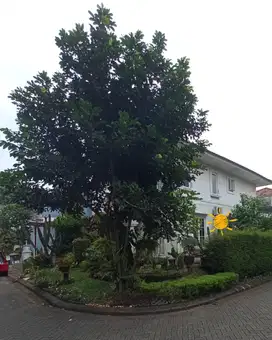 Rumah Hook Dekat Itc Junction Dan German School Di Bsd CPA3 3586