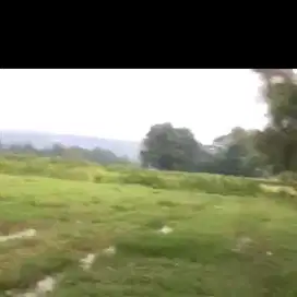 Tanah Jonggol cocok buat peternakan