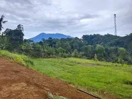 Tanah Di Puncak Luas 440 M2 Ketinggian 900mdpl